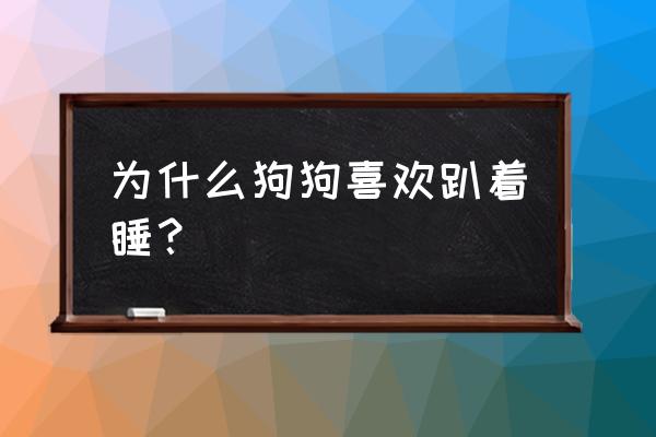 如何训练幼犬坐下来的方法 为什么狗狗喜欢趴着睡？