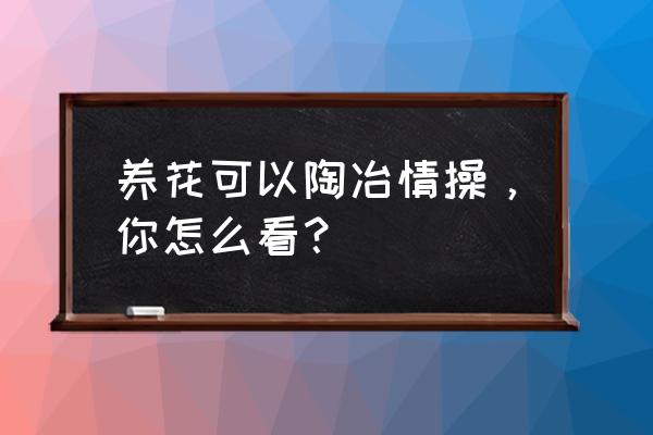 植物可以给我们带来什么乐趣 养花可以陶冶情操，你怎么看？