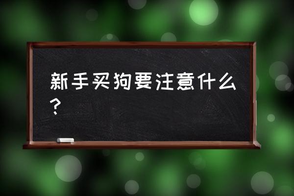 刚买回来的小狗怎么养 新手买狗要注意什么？