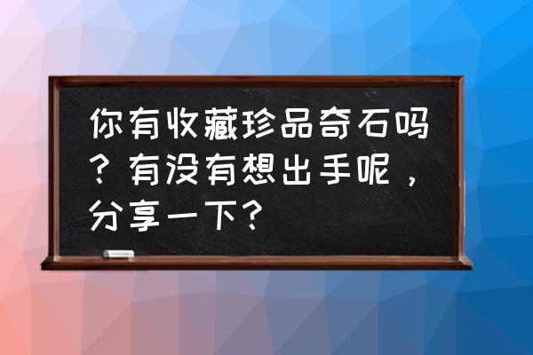 大化石顶级珍品 你有收藏珍品奇石吗？有没有想出手呢，分享一下？