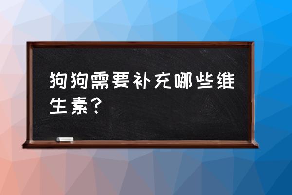 狗需要补充哪些营养 狗狗需要补充哪些维生素？