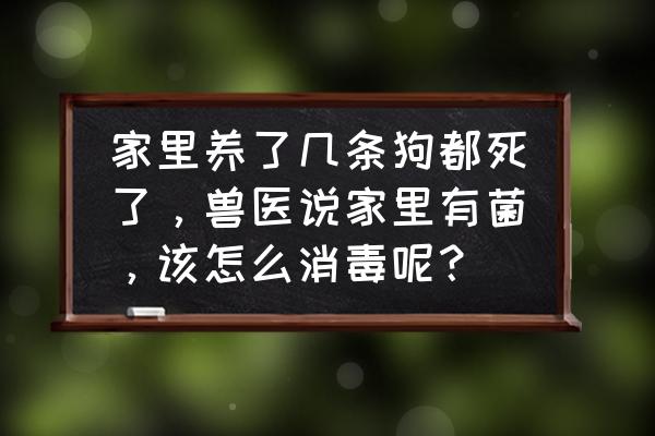 动森小动物生病了怎么给他药 家里养了几条狗都死了，兽医说家里有菌，该怎么消毒呢？