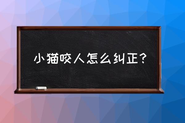 小猫总是咬人怎么解决 小猫咬人怎么纠正？