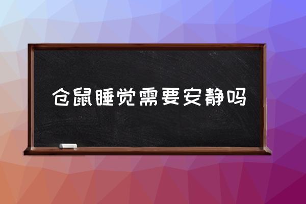 怎么才能让小仓鼠安静 仓鼠睡觉需要安静吗