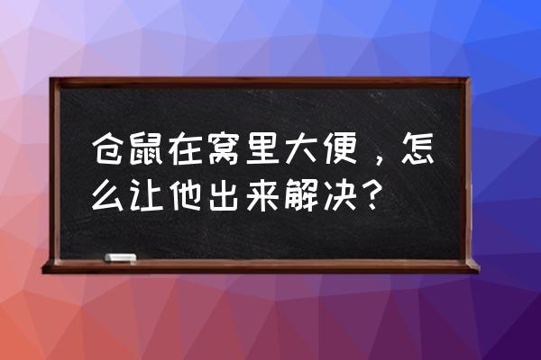 怎么解决仓鼠乱拉粑粑 仓鼠在窝里大便，怎么让他出来解决？