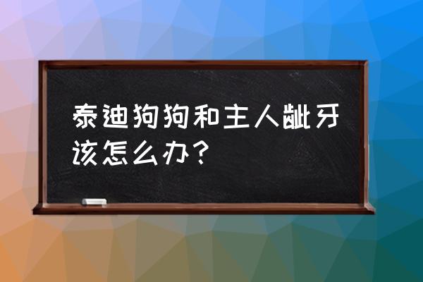 狗狗经常龇牙怎么训练 泰迪狗狗和主人龇牙该怎么办？