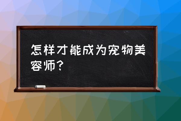 考宠物美容师证需要什么条件 怎样才能成为宠物美容师？