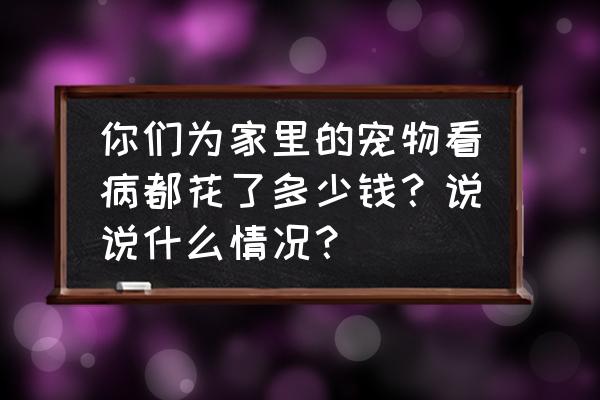 宠物看病为什么贵还治不好 你们为家里的宠物看病都花了多少钱？说说什么情况？