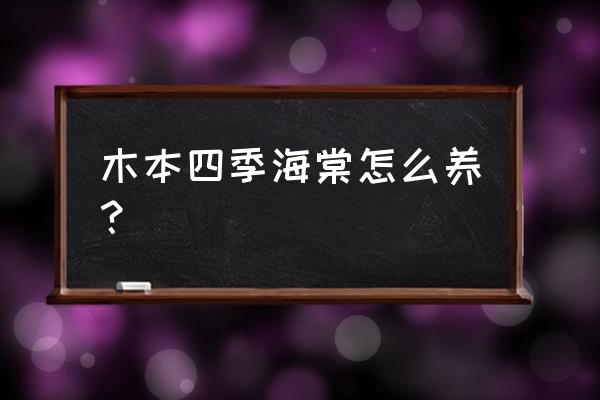 四季海棠什么温度适合生长 木本四季海棠怎么养？