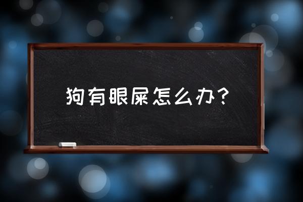 狗出现黄眼屎怎么办 狗有眼屎怎么办？