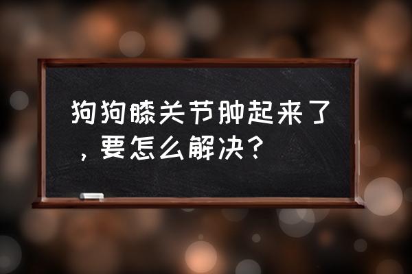 狗狗常见疾病解决办法 狗狗膝关节肿起来了，要怎么解决？