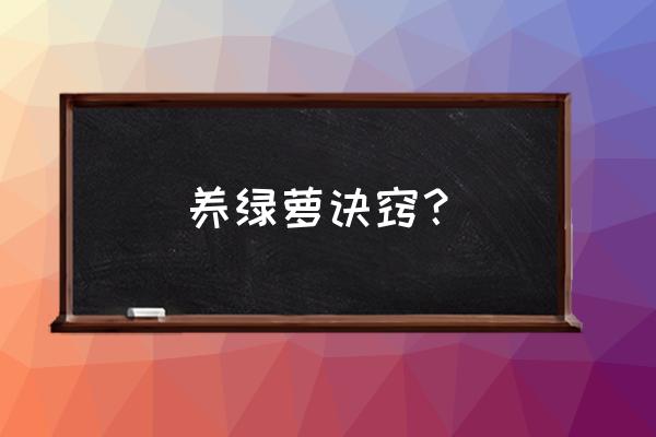 绿萝在家怎么养长得好 养绿萝诀窍？