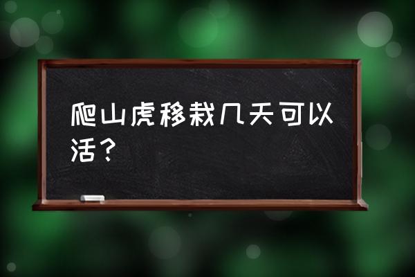 爬山虎种子怎么种才能发芽长得快 爬山虎移栽几天可以活？