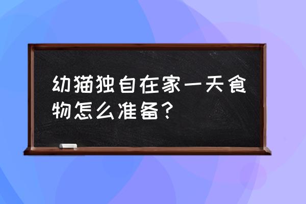 幼猫自己在家怎么喂食 幼猫独自在家一天食物怎么准备？