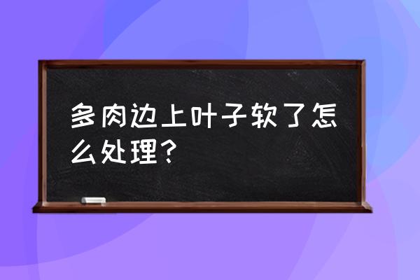 多肉植物冬天叶子发软怎么办 多肉边上叶子软了怎么处理？