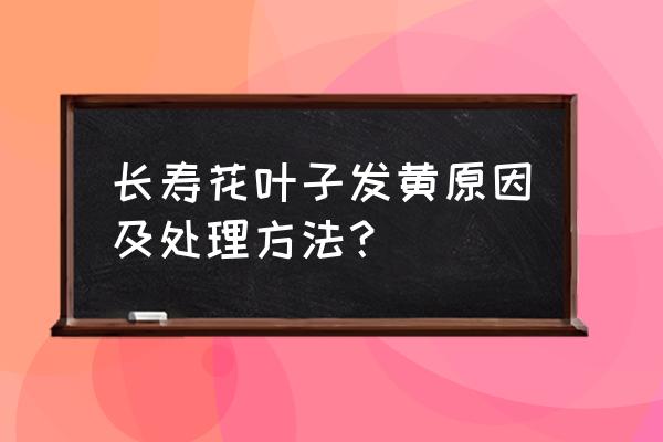 长寿花叶子发黄并掉叶如何解决 长寿花叶子发黄原因及处理方法？