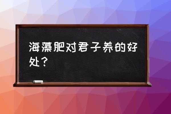 使君子施什么肥料最好 海藻肥对君子养的好处？