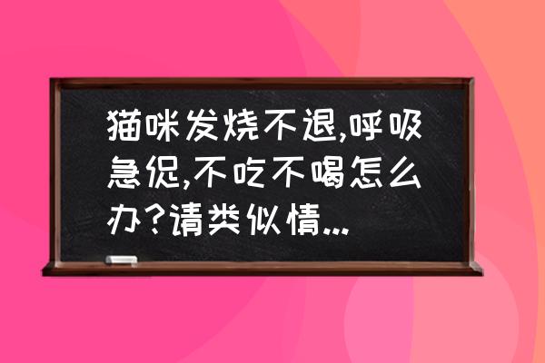 猫咪发烧呕吐不吃东西怎么办 猫咪发烧不退,呼吸急促,不吃不喝怎么办?请类似情况的朋友或专业人士给指点？