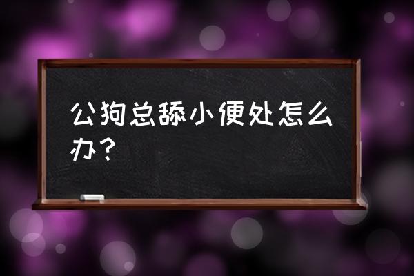 男孩怎么清洗小便处 公狗总舔小便处怎么办？