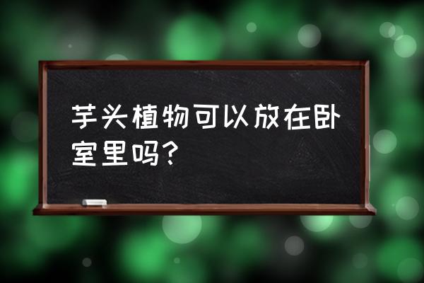 阳台盆栽芋头用什么盆合适 芋头植物可以放在卧室里吗？