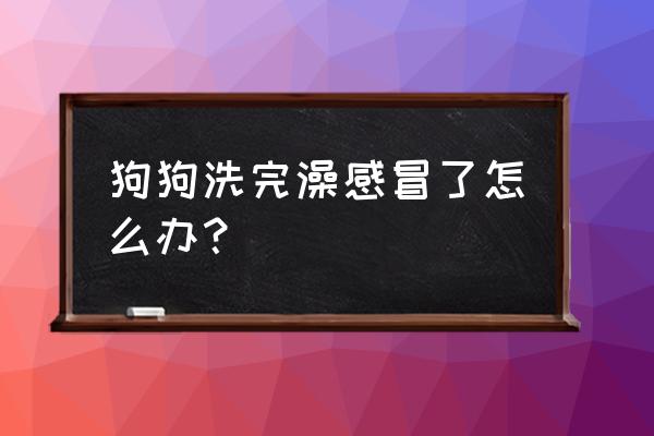 狗洗澡后眼睛睁不开怎么回事 狗狗洗完澡感冒了怎么办？