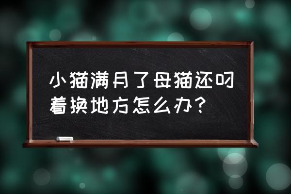 母猫叼小猫换窝怎么办 小猫满月了母猫还叼着换地方怎么办？