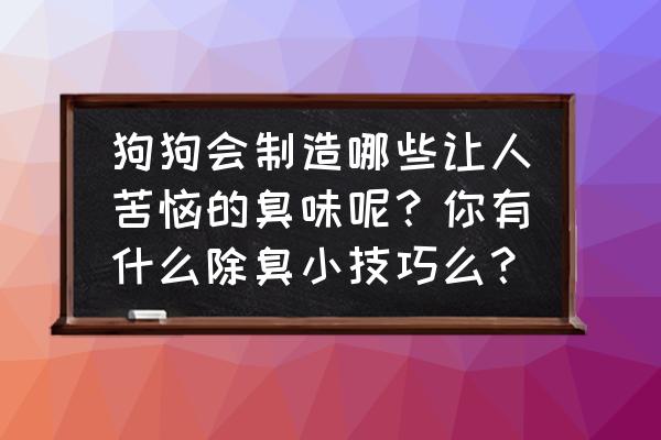 狗笼臭怎么解决 狗狗会制造哪些让人苦恼的臭味呢？你有什么除臭小技巧么？