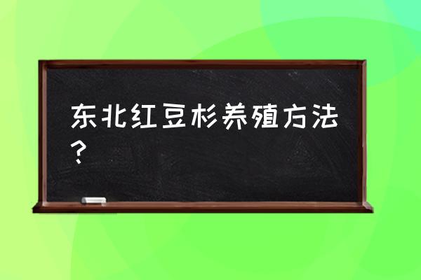 红豆杉的栽培方法和管理 东北红豆杉养殖方法？