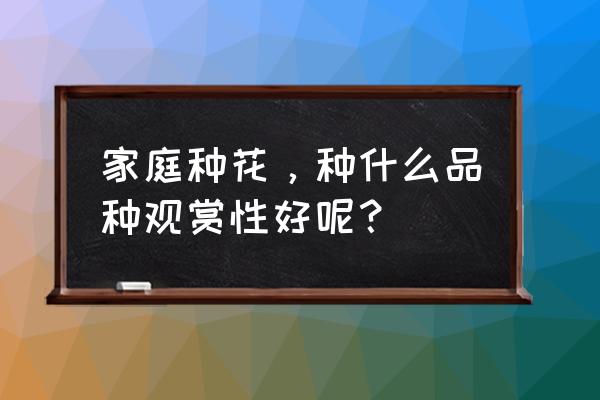 家里刚刚装修完种什么植物最好 家庭种花，种什么品种观赏性好呢？