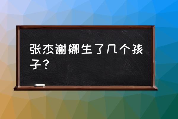 张杰有几个孩子 张杰谢娜生了几个孩子？