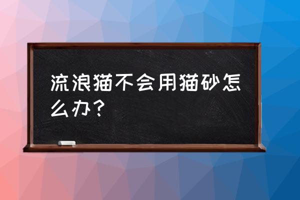 半大的猫咪怎么训练用猫砂 流浪猫不会用猫砂怎么办？