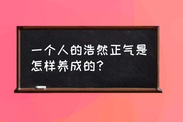 一个有涵养的人会怎么做事 一个人的浩然正气是怎样养成的？