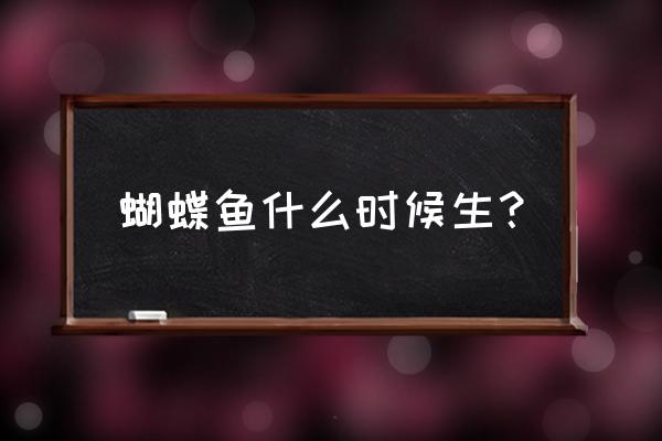 蝴蝶鱼怎样判断要生宝宝 蝴蝶鱼什么时候生？