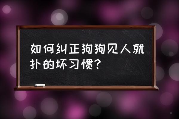 如何纠正狗狗乱捡垃圾 如何纠正狗狗见人就扑的坏习惯？