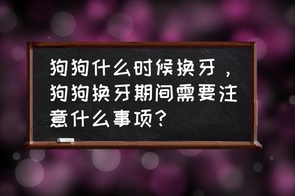 换牙要注意哪几项 狗狗什么时候换牙，狗狗换牙期间需要注意什么事项？