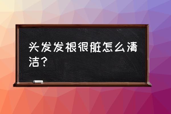 洗头发从发根掉头发是什么原因 头发发根很脏怎么清洁？