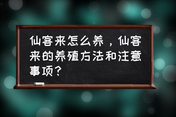 仙客来花用什么肥料最好 仙客来怎么养，仙客来的养殖方法和注意事项？