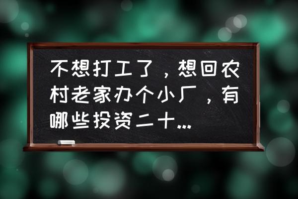 现在低成本低投资能做什么行业 不想打工了，想回农村老家办个小厂，有哪些投资二十万以内的靠谱项目可以做？