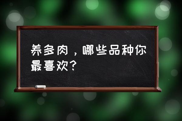 怎样才能买到品种优良的多肉 养多肉，哪些品种你最喜欢？