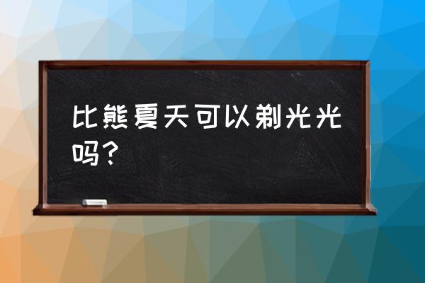 狗狗夏天热建议剃毛吗 比熊夏天可以剃光光吗？