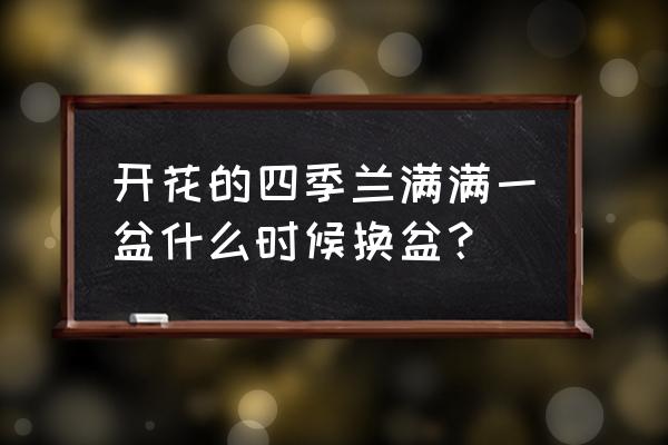 四季兰的正确养殖方法 开花的四季兰满满一盆什么时候换盆？