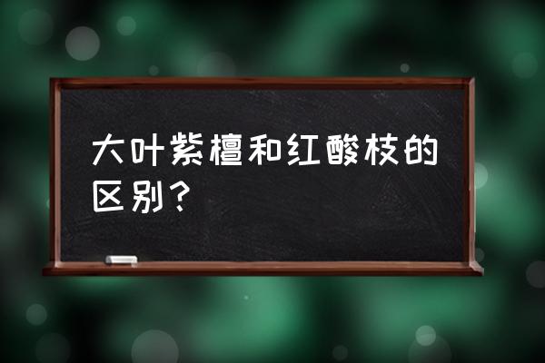 老挝大红酸枝和老挝红酸枝的区别 大叶紫檀和红酸枝的区别？