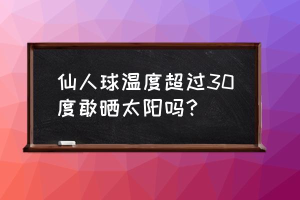 仙人球在35度阳光暴晒行吗 仙人球温度超过30度敢晒太阳吗？