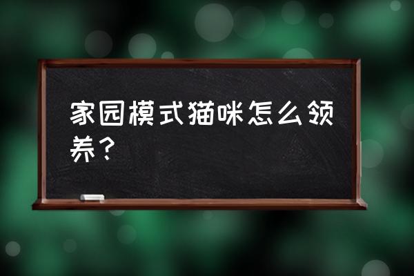 有没有专门领养猫咪的平台 家园模式猫咪怎么领养？