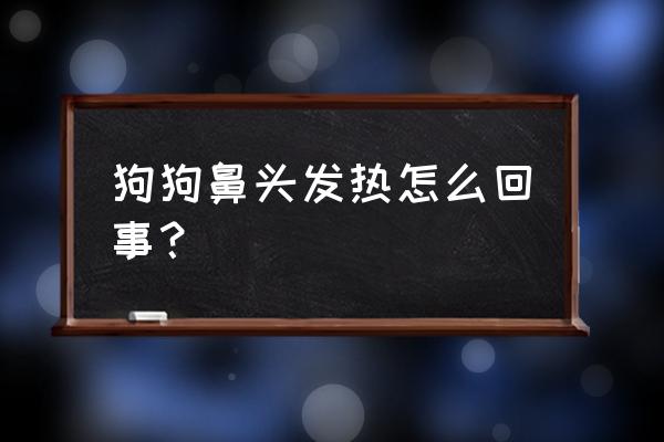 狗狗鼻头发干怎么回事 狗狗鼻头发热怎么回事？