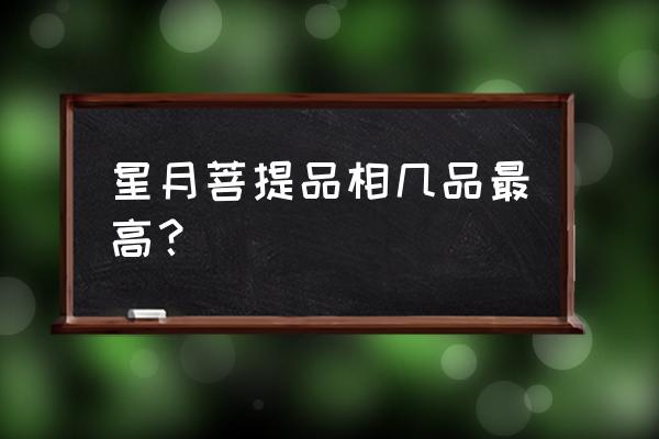 星月菩提买什么样的最好 星月菩提品相几品最高？