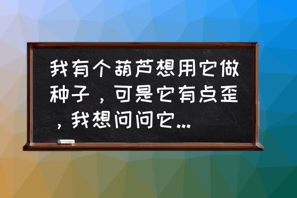 怎么才能让葫芦长得又大又正 我有个葫芦想用它做种子，可是它有点歪，我想问问它的下一代能是歪的不，帮忙回答？