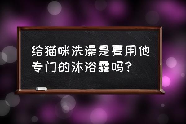 猫咪必须用宠物沐浴露洗澡吗 给猫咪洗澡是要用他专门的沐浴露吗？