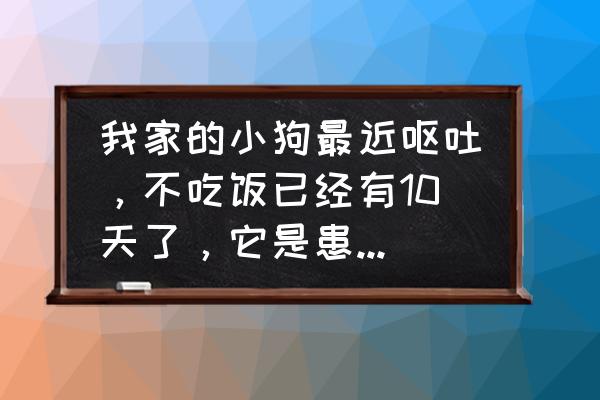 狗狗几天不吃东西老是呕吐怎么办 我家的小狗最近呕吐，不吃饭已经有10天了，它是患了什么病？