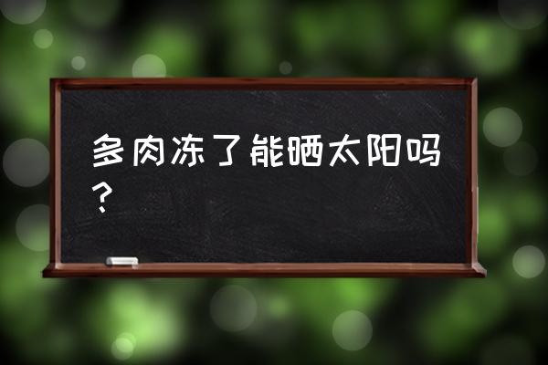 冻伤的多肉怎么处理好得快 多肉冻了能晒太阳吗？